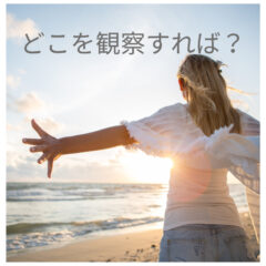 どこをどう観察すればいいの？